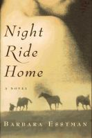 Night_ride_home
